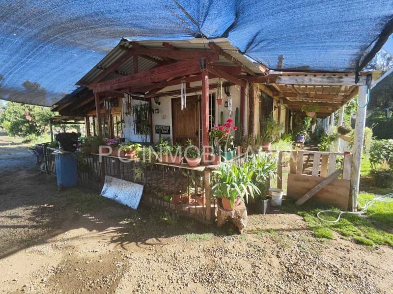 HERMOSA PARCELA EN CURACAVÍ                                 