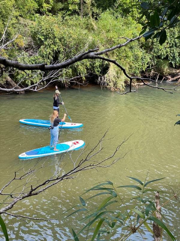 SECTOR EL NEGRO, CHAITÉN.                                   