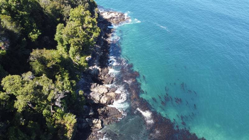 SECTOR SANTA BARBARA, CHAITÉN.                              