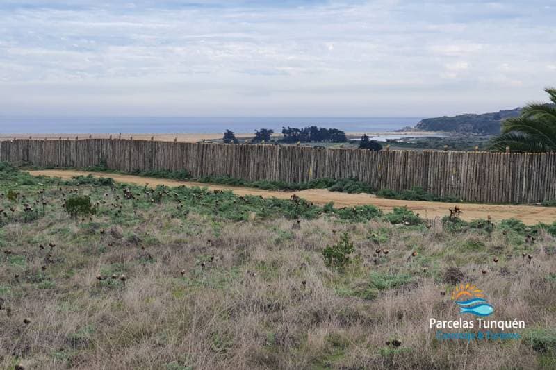 PARCELA 8 LOMA LOS CARDOS, TUNQUÉN                          