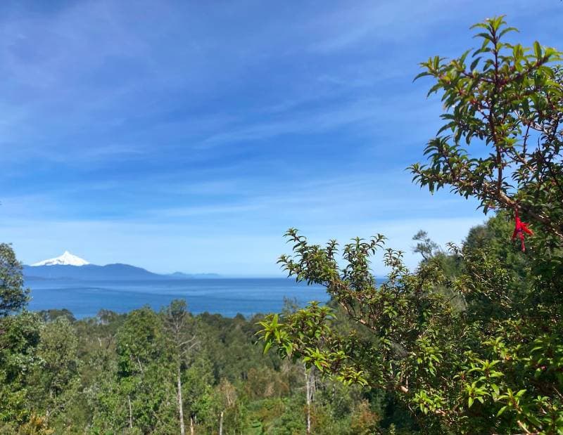 SANTA BARBARA CHAITÉN                                       