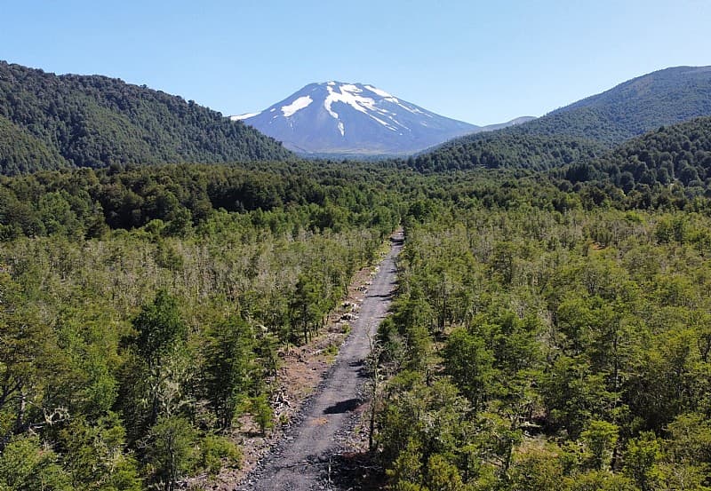 VENTA PARCELAS 5000M2 MALALCAHUELLO                         