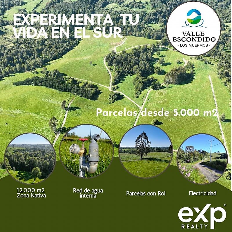 A 8 KM DE LOS MUERMOS                                       