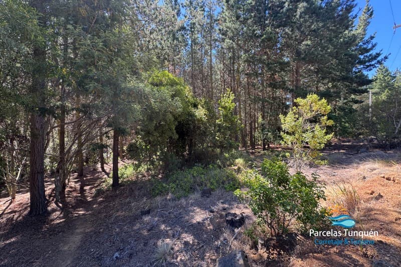 PARCELA 1 EL MIRADOR DE NATURA                              