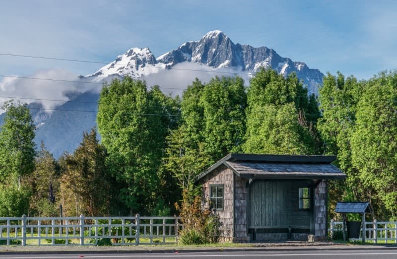 EL AMARILLO, CHAITÉN.                                       