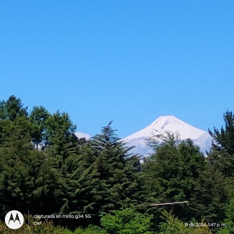 PEDREGOSO VILLARRICA                                        