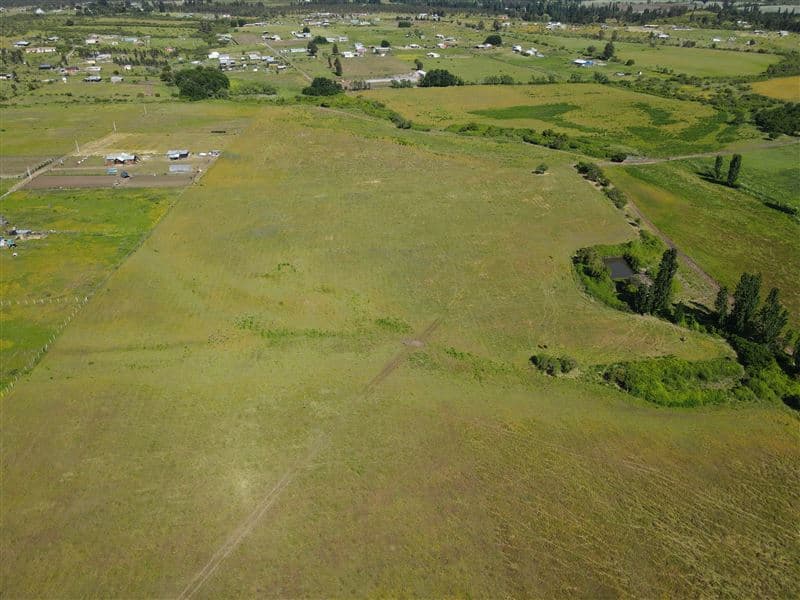 48 ha en Rucapequen Chillan, Campo Agricola plano y lomaje muy suave