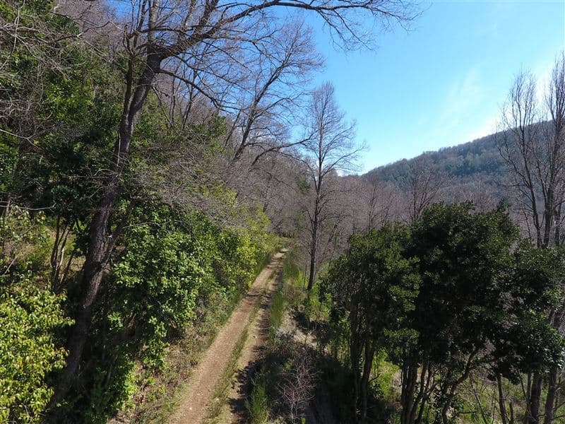 Sitios Camino Termas de Chillan Km 48 Interior