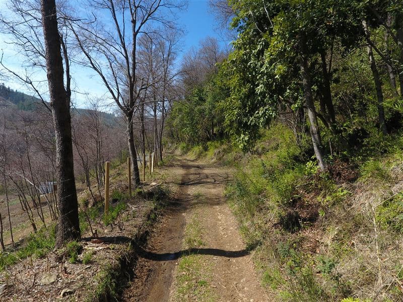 Sitios Camino Termas de Chillan Km 48 Interior