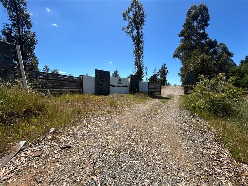 Camino a Yumbel sector Tomeco