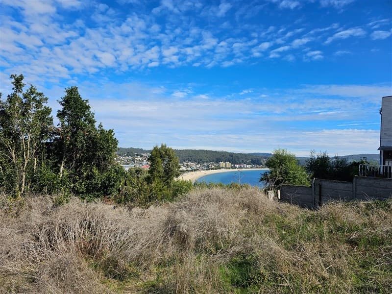 DICHATO, Sector Villarrica Alto, Pasaje Pingueral