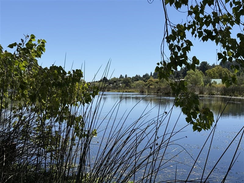 CONDOMINIO ANTUPAHUIL - CHILLANCITO, QUILLON