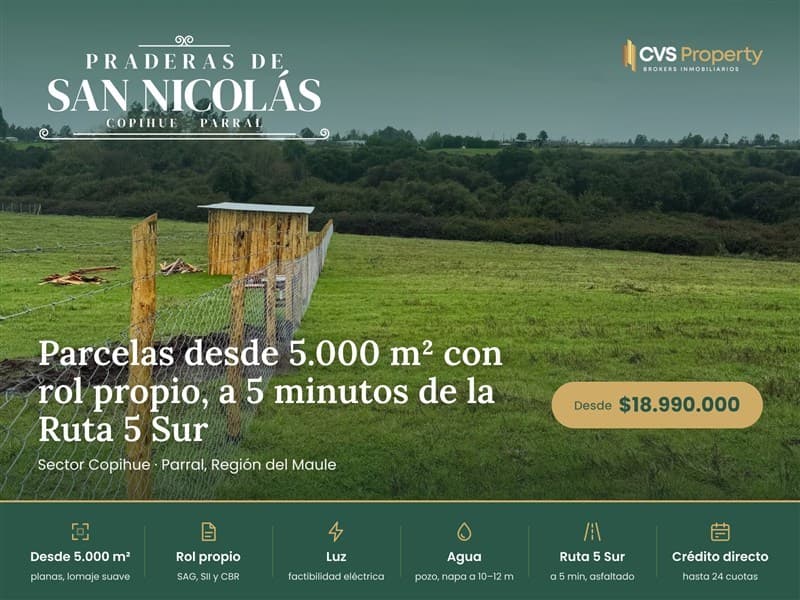 Copihue Km 4, sectror San Nicolas