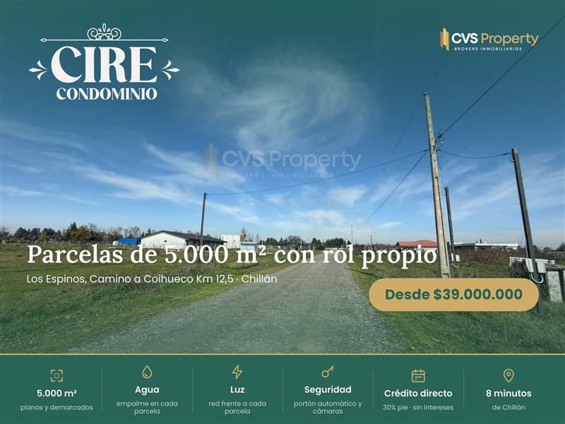 Camino Chillan Coihueco km 12 Los Espinos