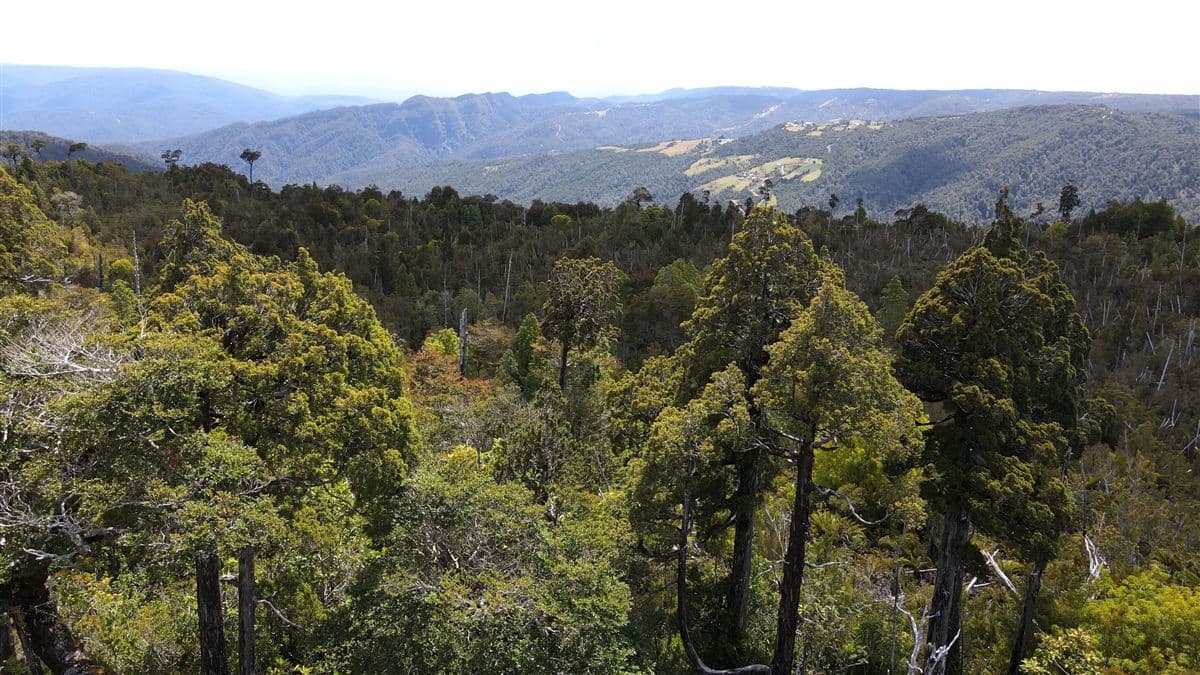 Los Muermos, Yerbas Buenas Alto, Los Muermos, Los Lagos