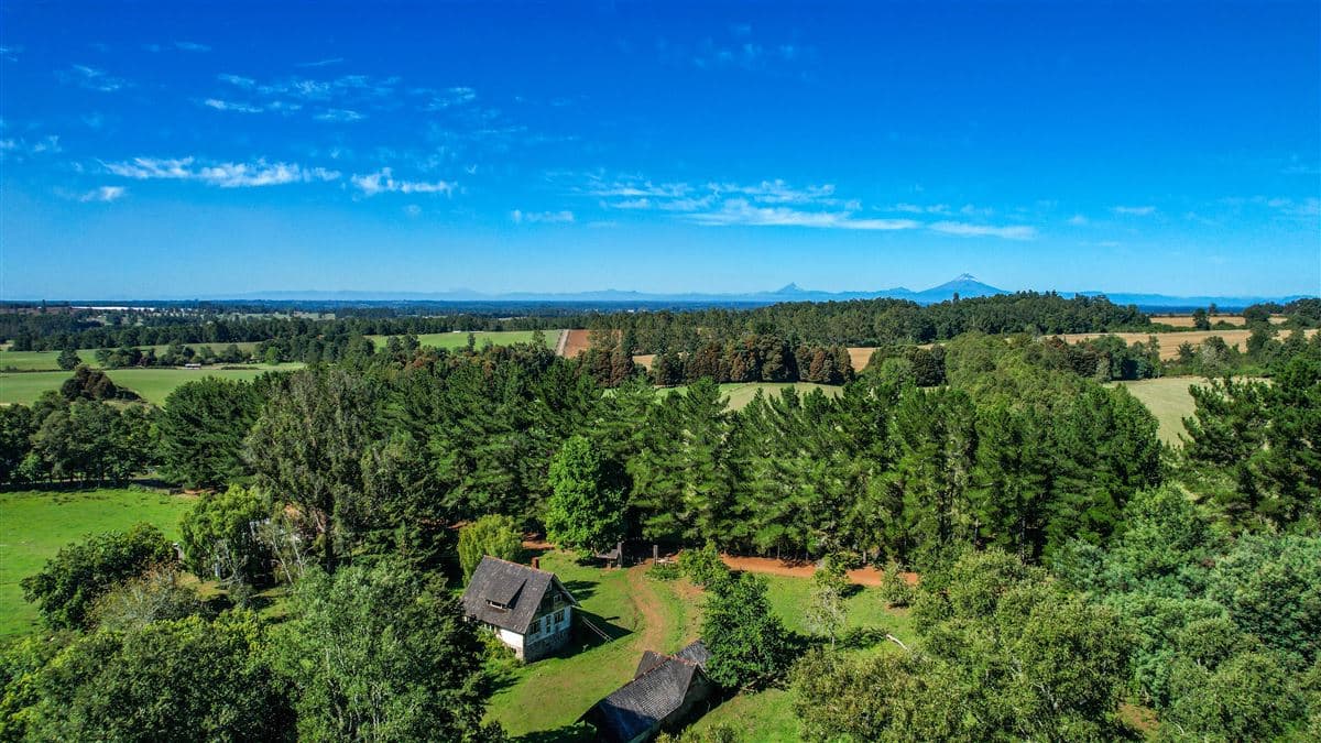 Frutillar, Los Lagos