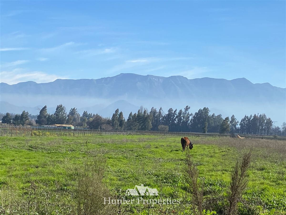 Ex Fundo La Punta - ULTIMAS UNIDADES 