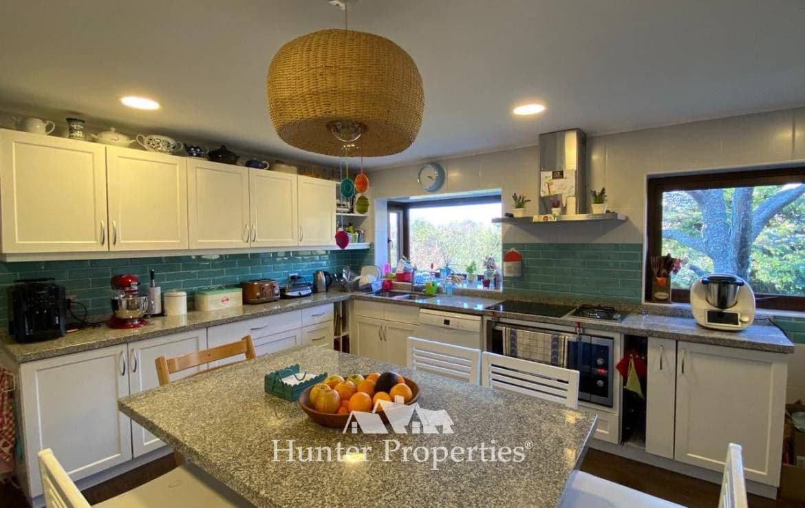 Camino Villarrica y Pucón