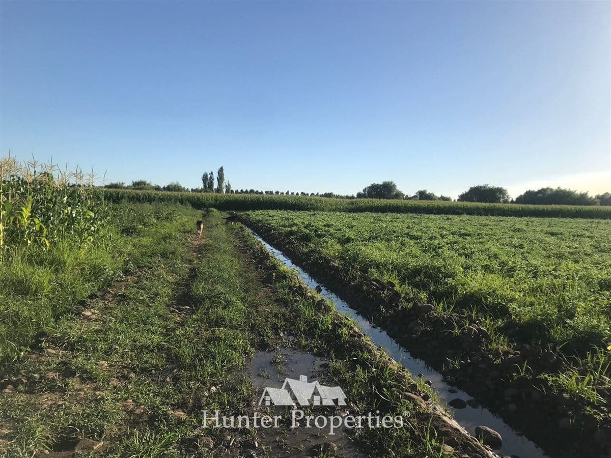 por ruta CH Talca - San Clemente , entrar por camino antes del reten el Sauce y seguir 3 Kilómetros al sur
