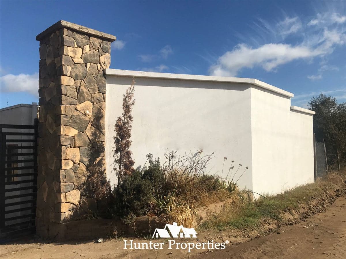 camino pencahue sector Quepo hacia el norte