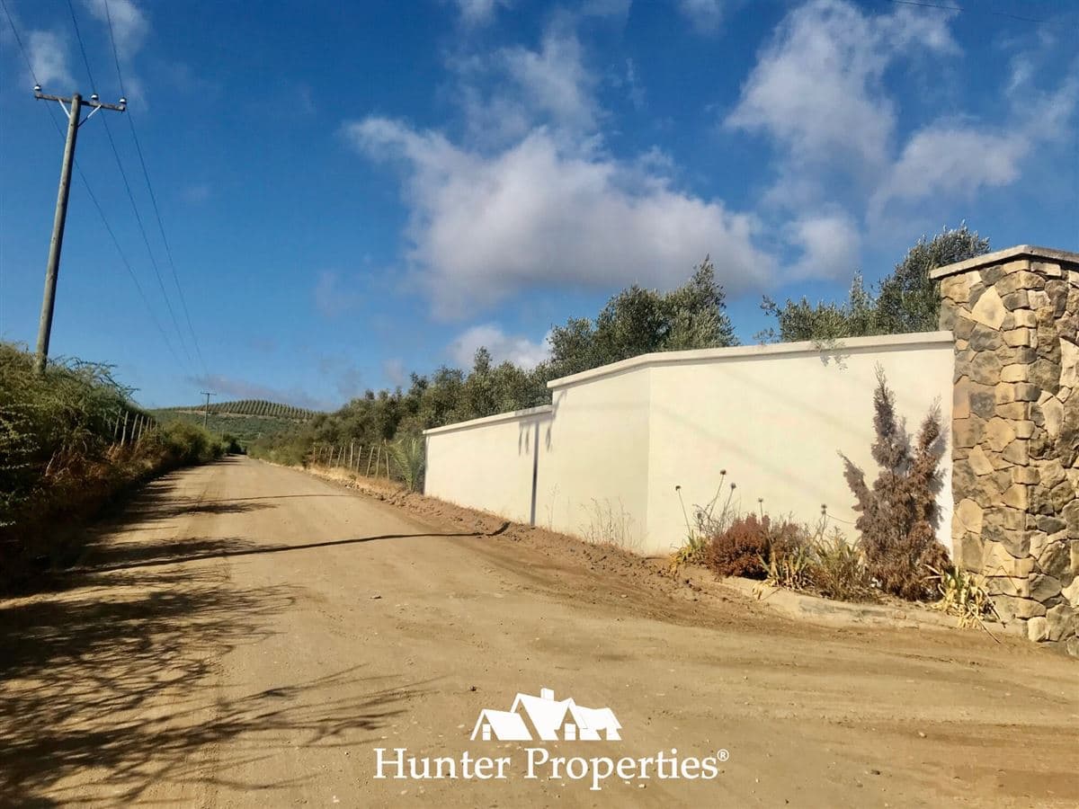 camino pencahue sector Quepo hacia el norte