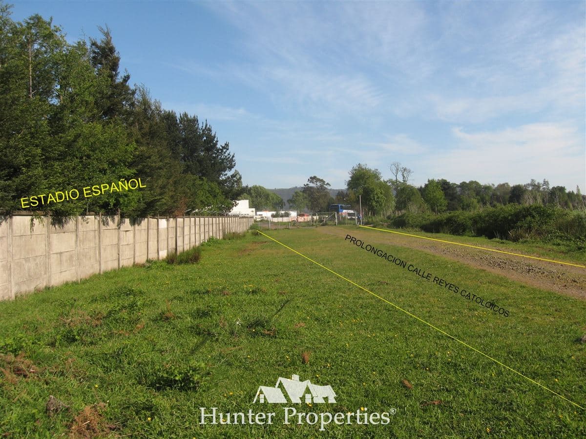 Luis Picasso Ballebouna 1700