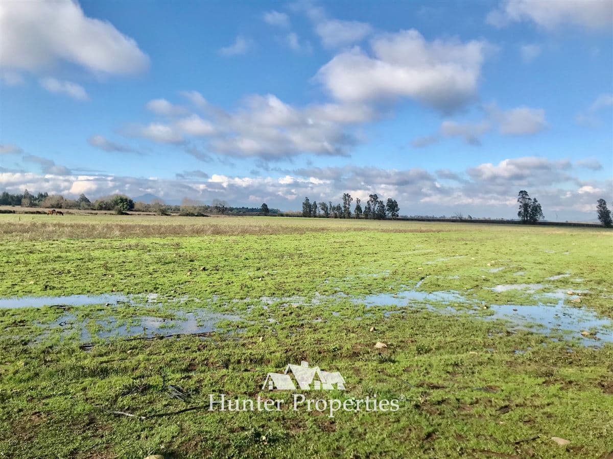 Cercano a Viña Terra Noble, en camino interior, Aurora.