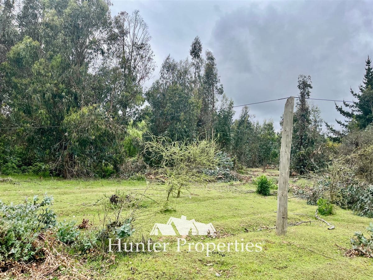 Ruta 5 Sur lado poniente altura Km 229 