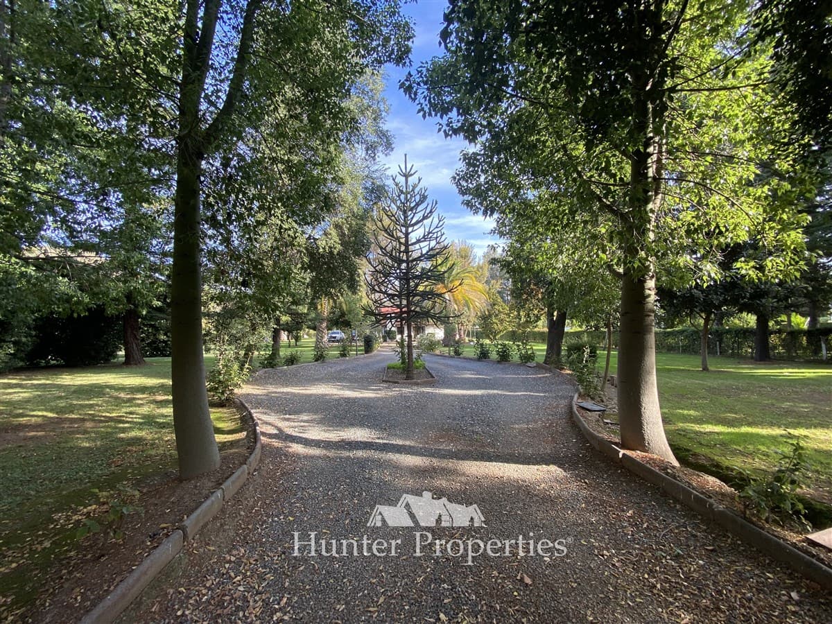 Ex Fundo La Punta San Francisco Mostazal 