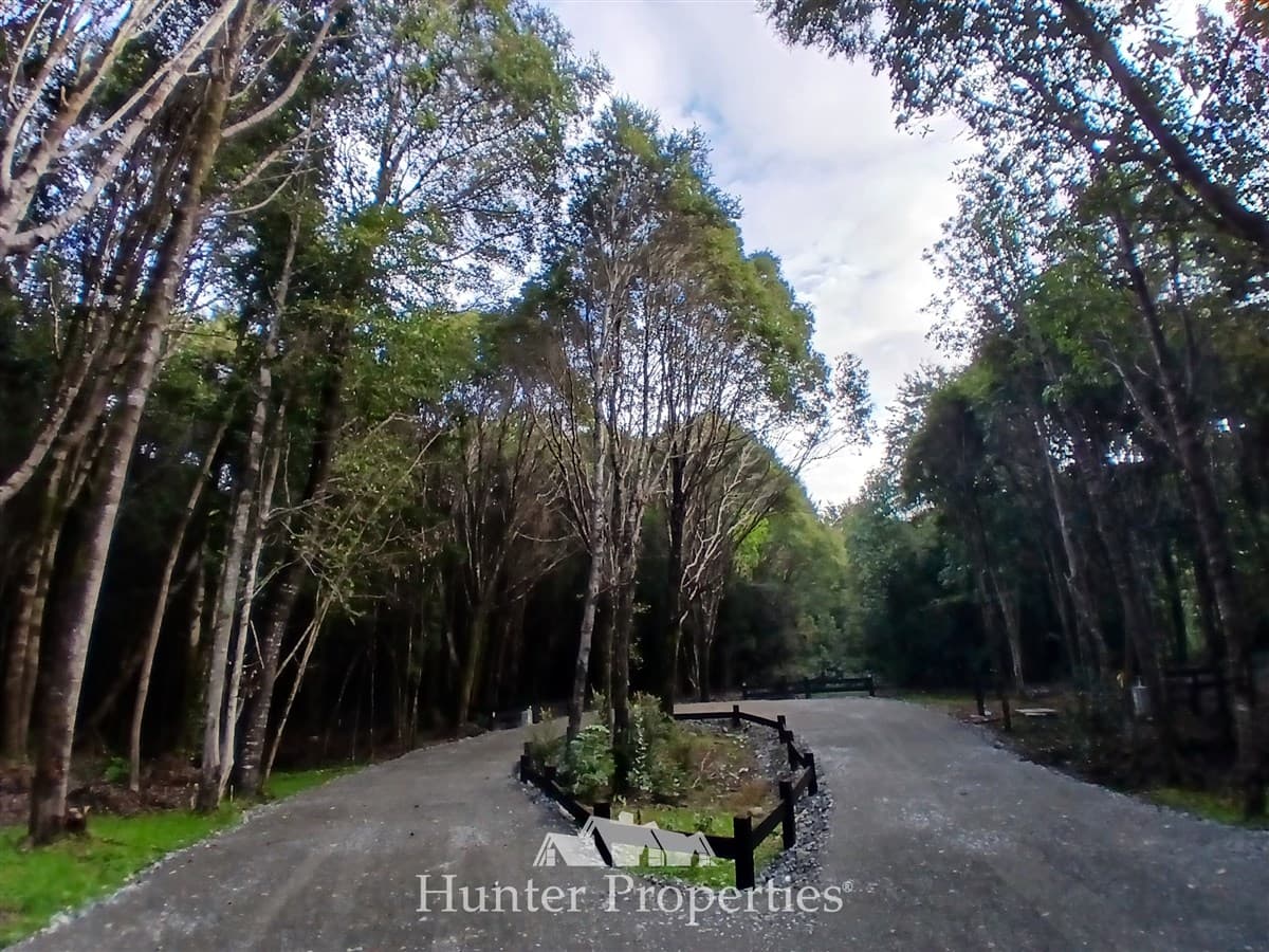 camino Las Tranqueras con playa Niklitschek