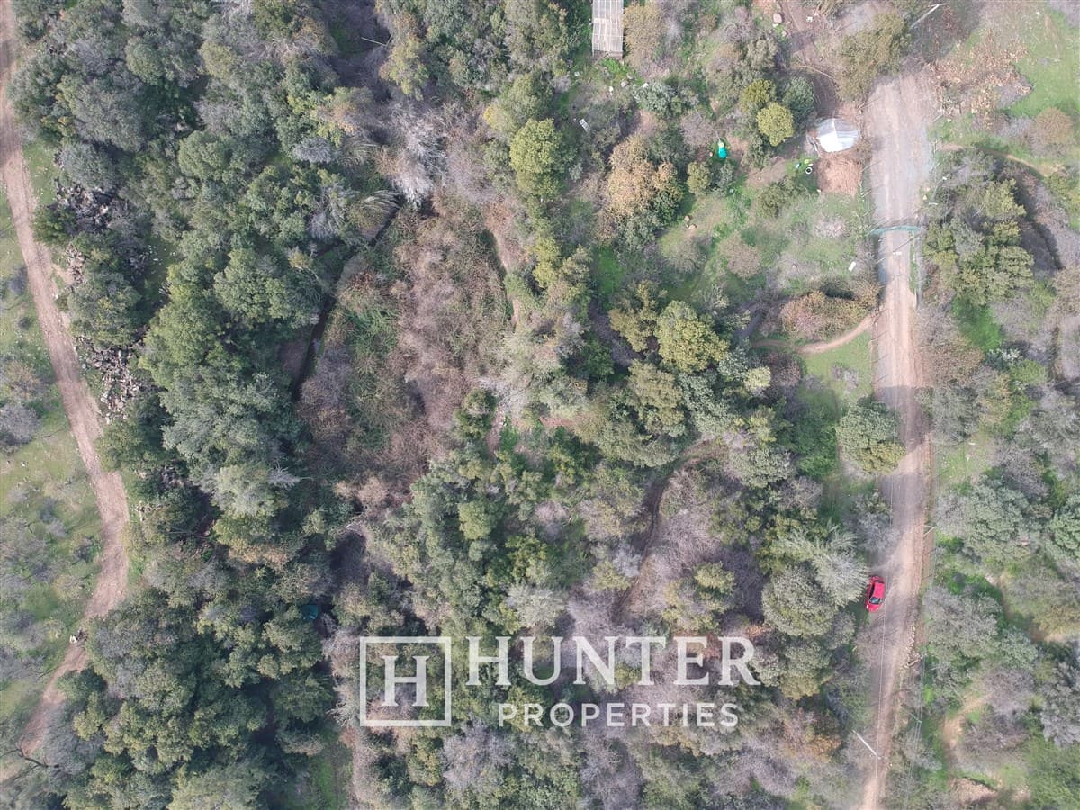 Ex Fundo La Punta - Quebrada La Africana 