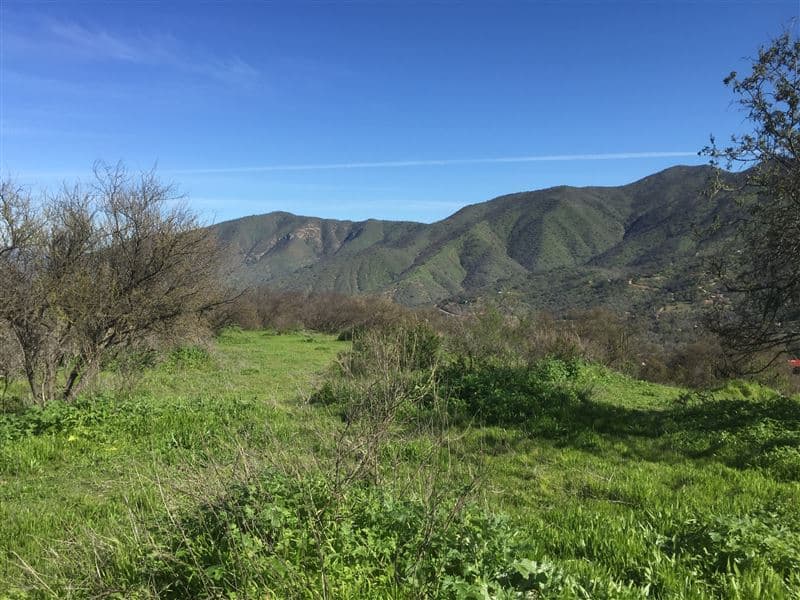 Miraflores Alto, Curacaví
