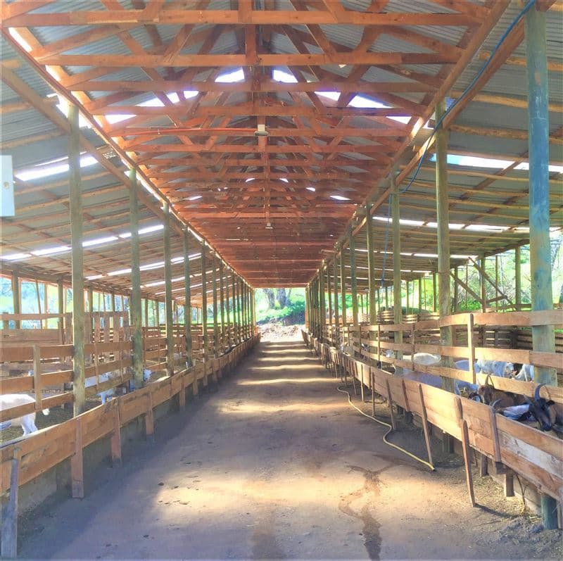 Miraflores Alto, Curacaví