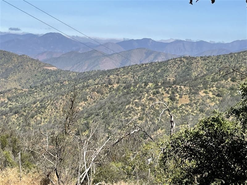 La Aurora / las Chilcas