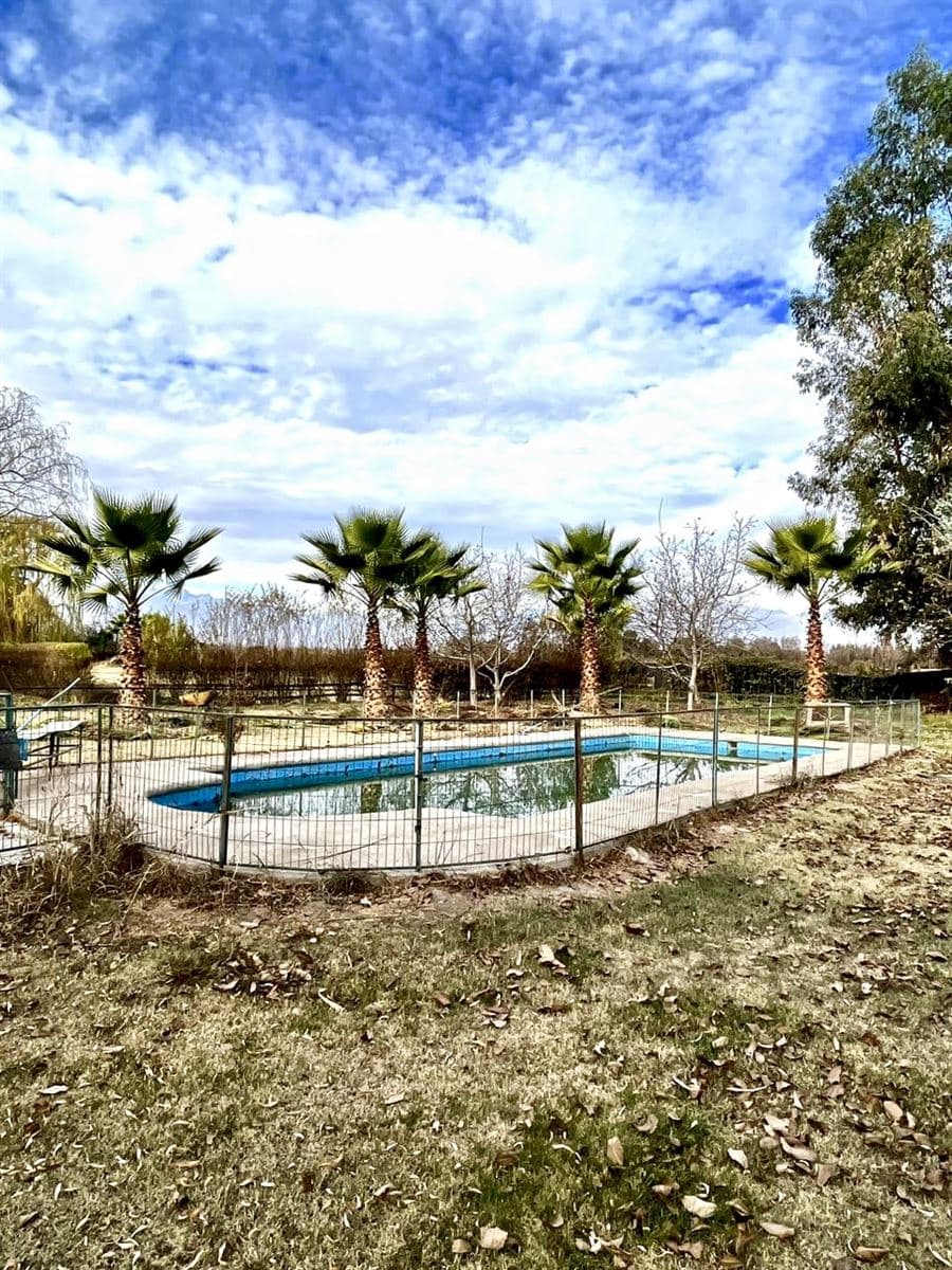 Curimón / San Felipe