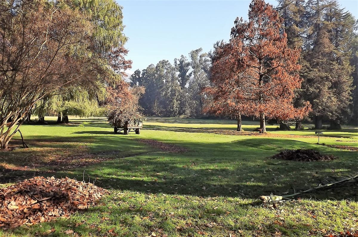 La Cartuja - Mostazal