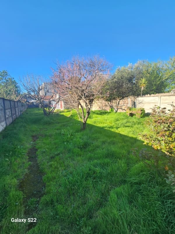 CALLE BULNES CERCANA A TRIBUNAL DE FAMILIA                  