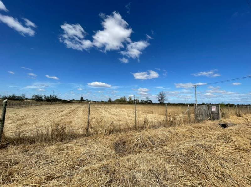 PARCELA KM7 CAMINO A COIHUECO                               