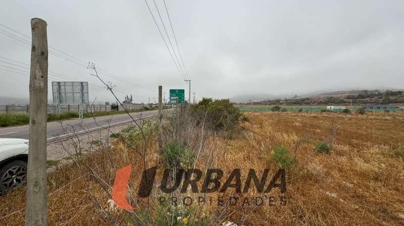 PARCELA KM29 RUTA 41 VALLE DEL ELQUI                        