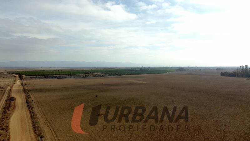 TERRENO AGRÍCOLA DE 37,6 HA - 46 ACCIONES DE AGUA - TAMAYA  