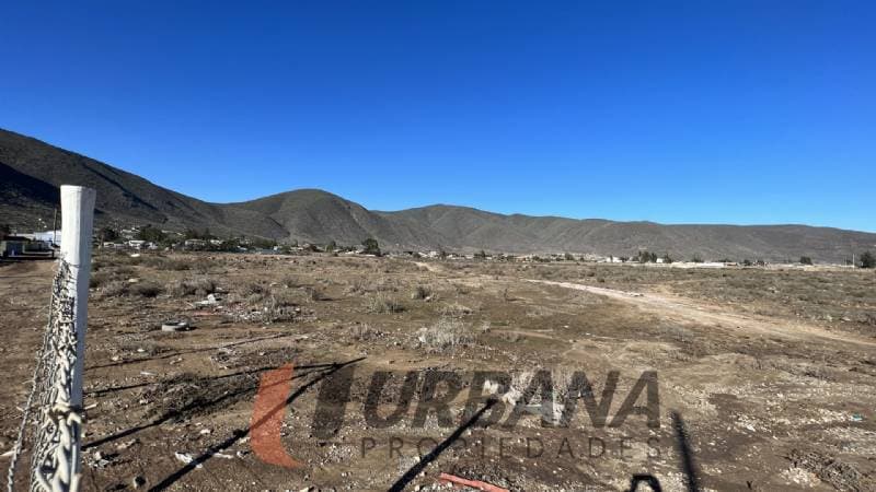 TERRENO PARA PROYECTOS SECTOR EL SAUCE                      