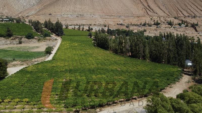 PARCELA EN LOTEO MIRAFLORES 7900M2                          