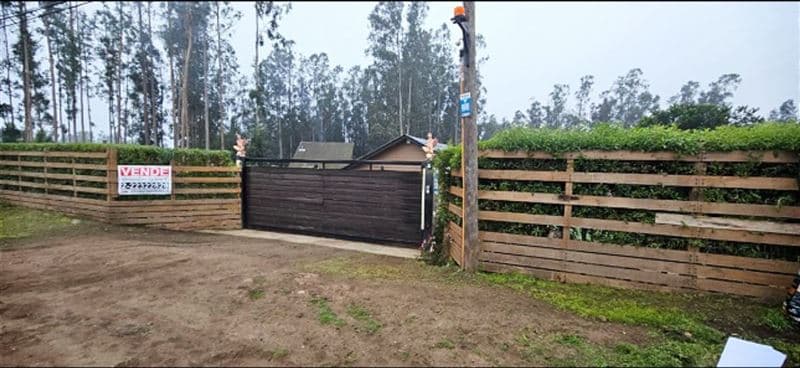 Ruta E - 66 - Gricelda Cisterna