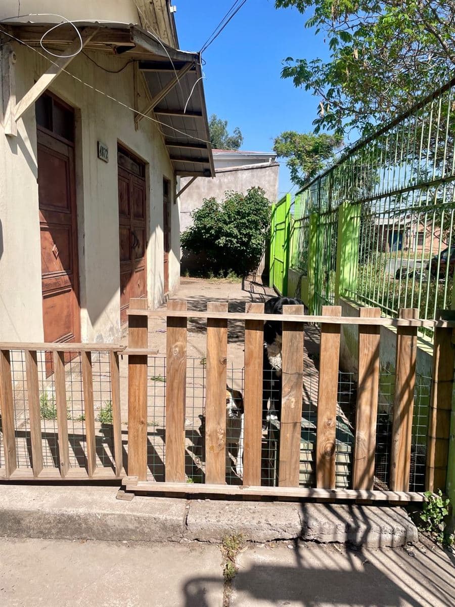 Mapocho / Martin Gil / José Joaquín Pérez