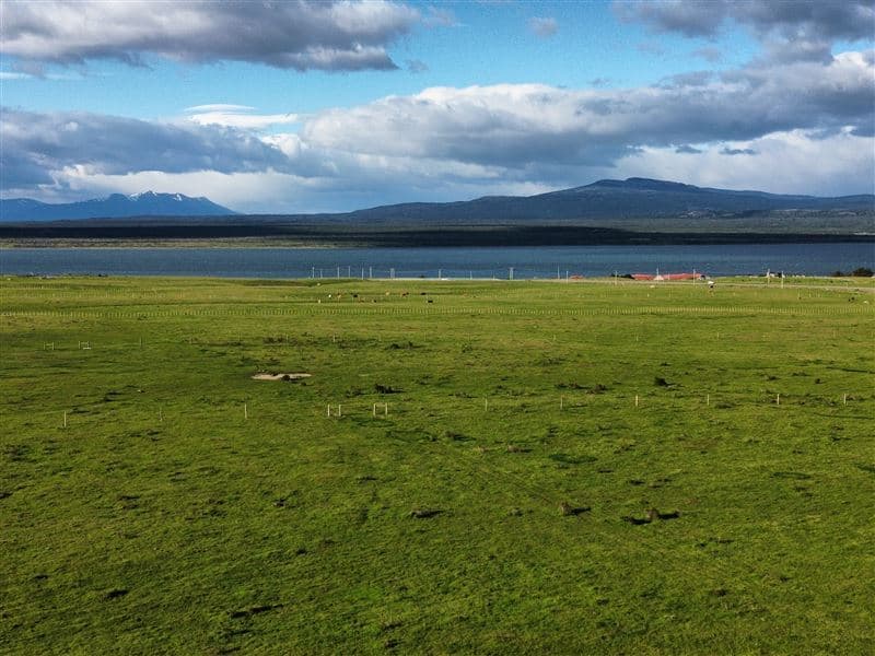 entre Clodomiro Rojas y ruta 9 norte