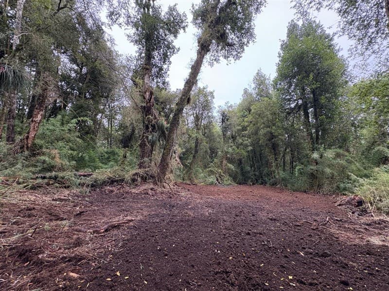 Parque Bosques Nativos Tarahuín