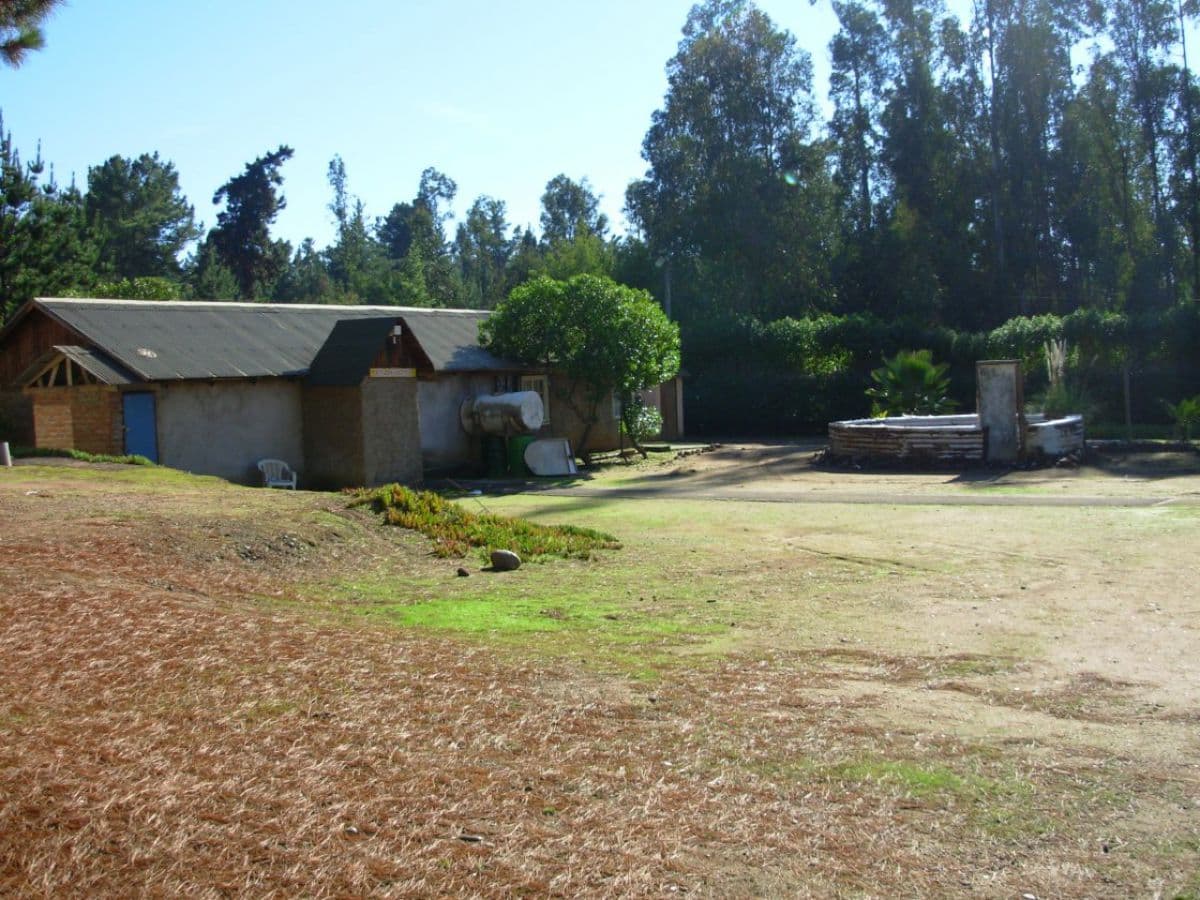 SECTOR CAMINO INTERNACIONAL- LA CUCA