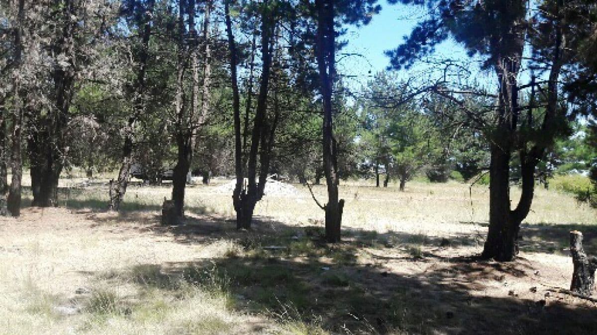 SECTOR CAMINO INTERNACIONAL, LA JARILLA