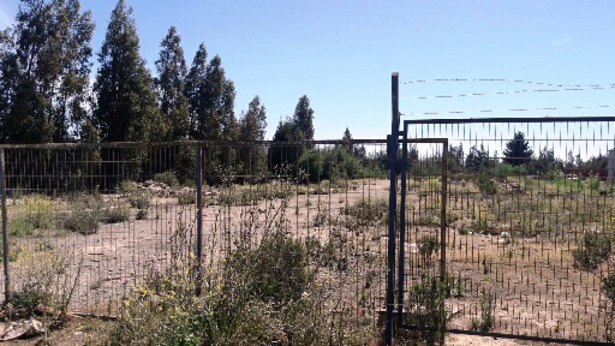 SECTOR PLACILLA INDUSTRIAL