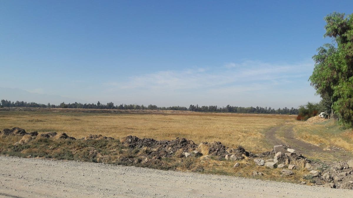 SECTOR LOS ESPINOS-CACIQUE COLIN